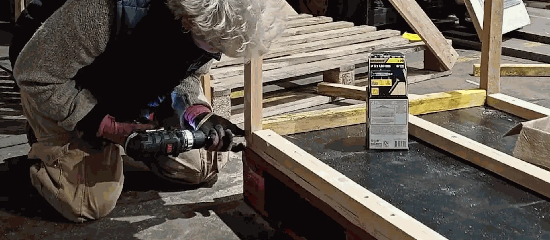 l'insertion professionnelle